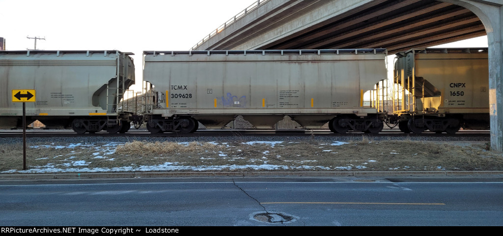 TCMX 309628