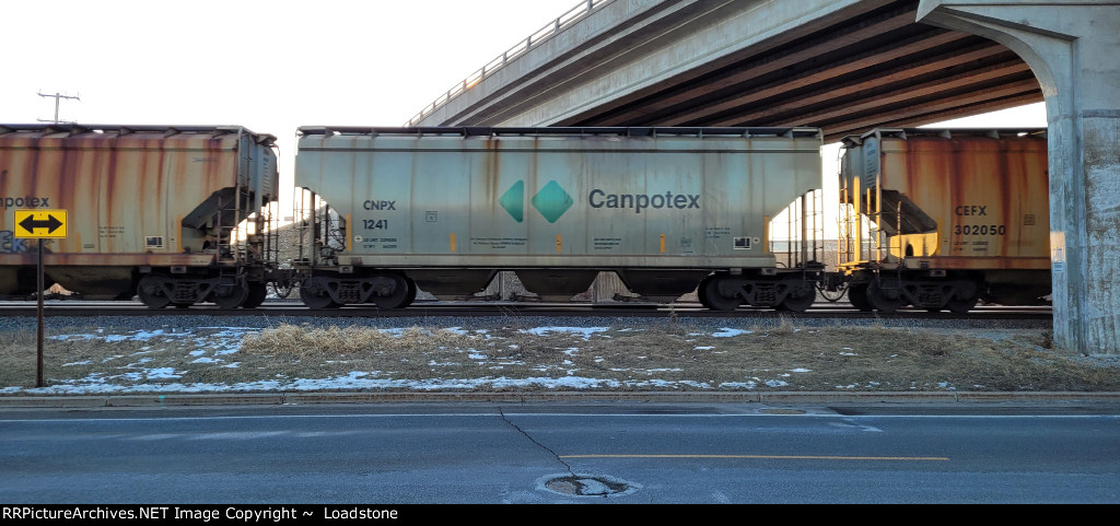 CNPX 1241