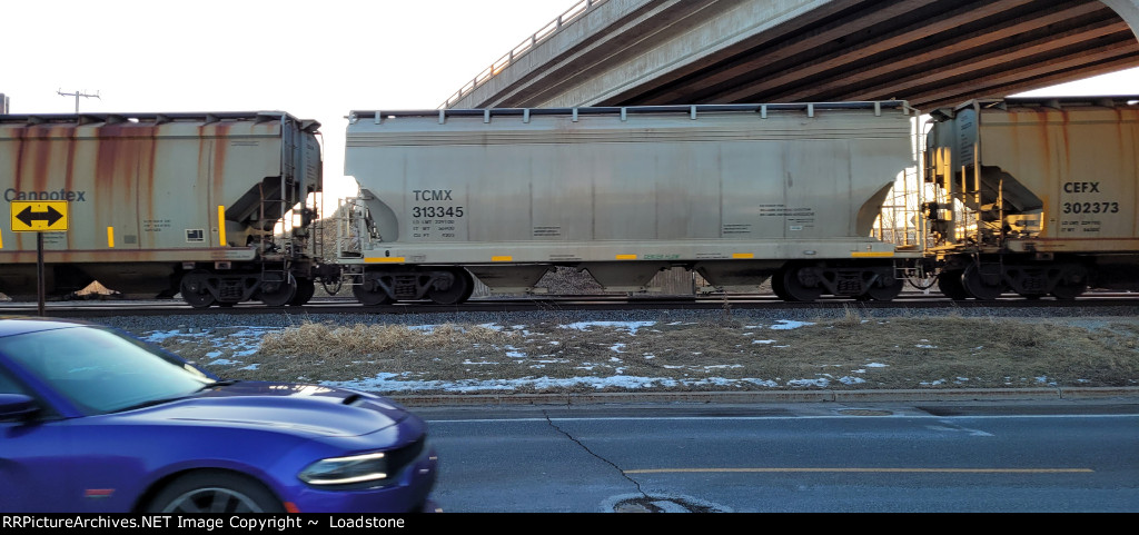 TCMX 313345