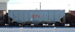CN 113181