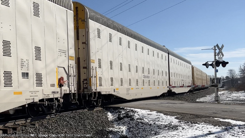 COER 900531 is new to rrpa.