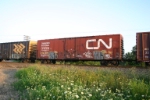 CN 401648
