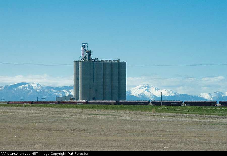 BNSF grain loading elevators at Dutton, Montana