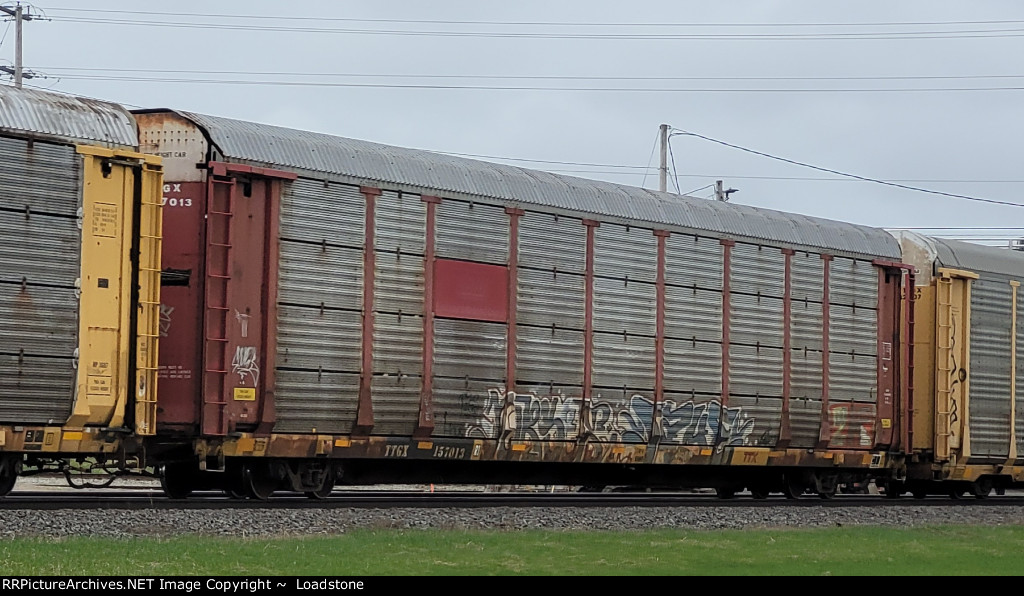 TTGX 157013