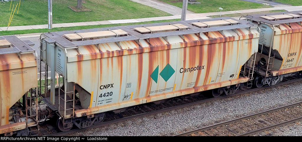 CNPX 4420