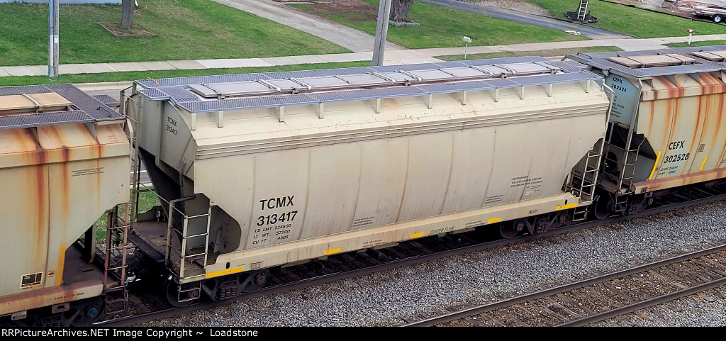 TCMX 313417