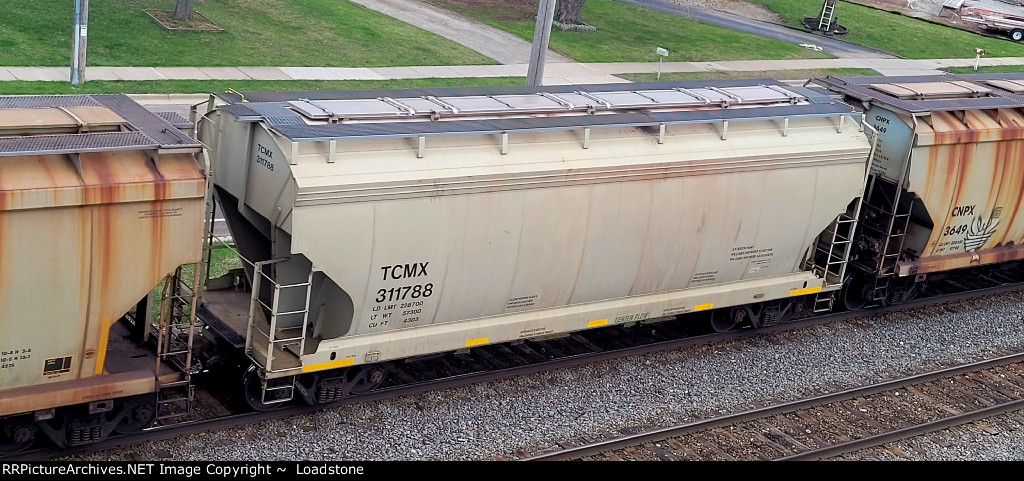 TCMX 311788