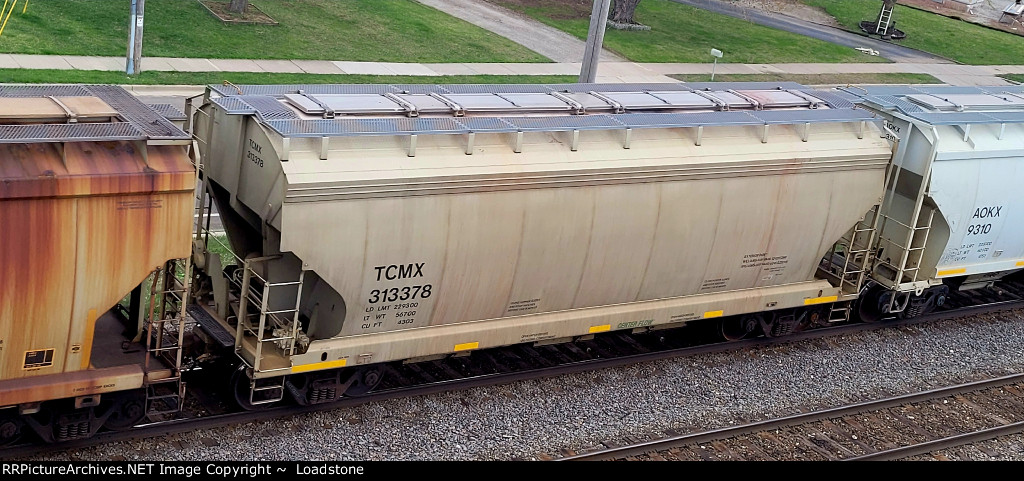 TCMX 313378