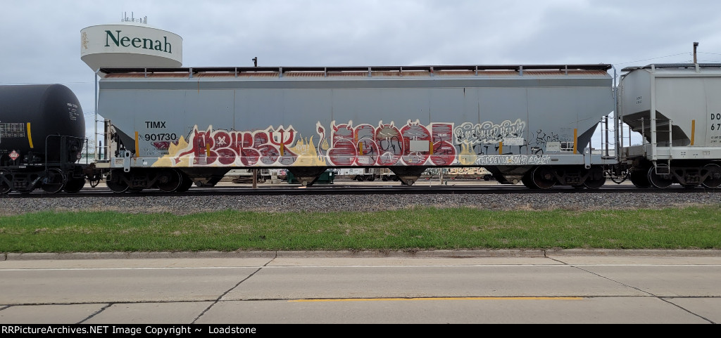 TIMX 901730