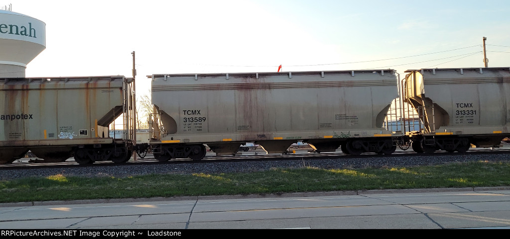TCMX 313589