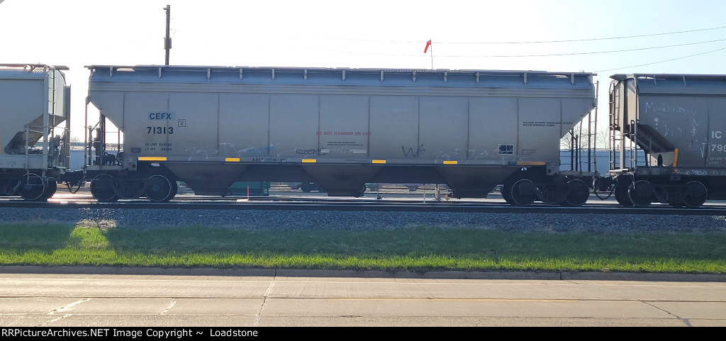 CEFX 71313