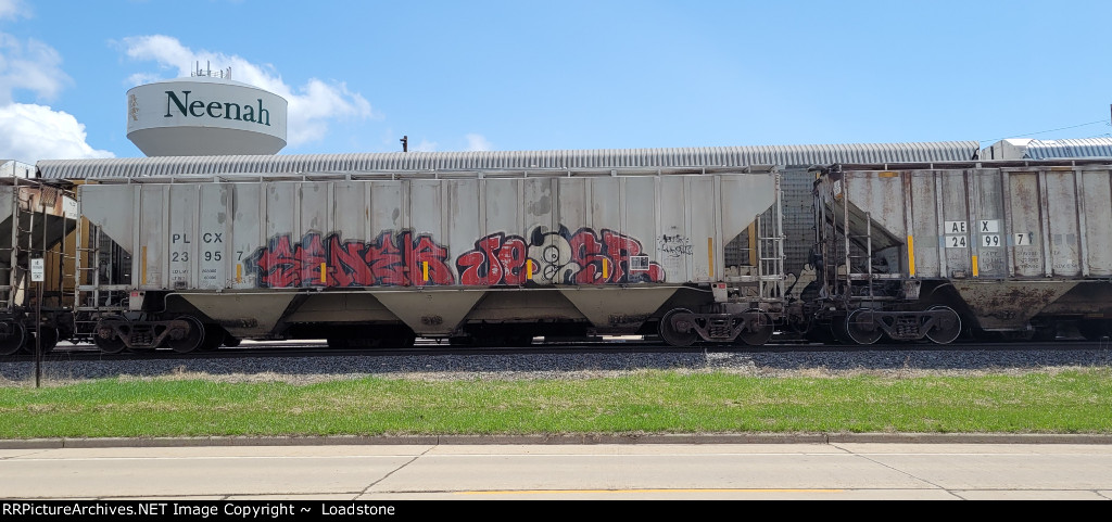 PLCX 23957