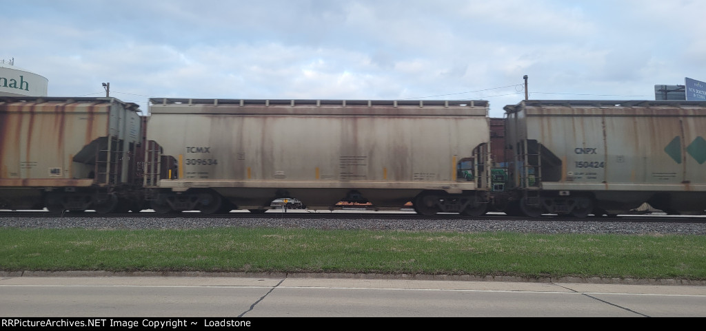 TCMX 309634