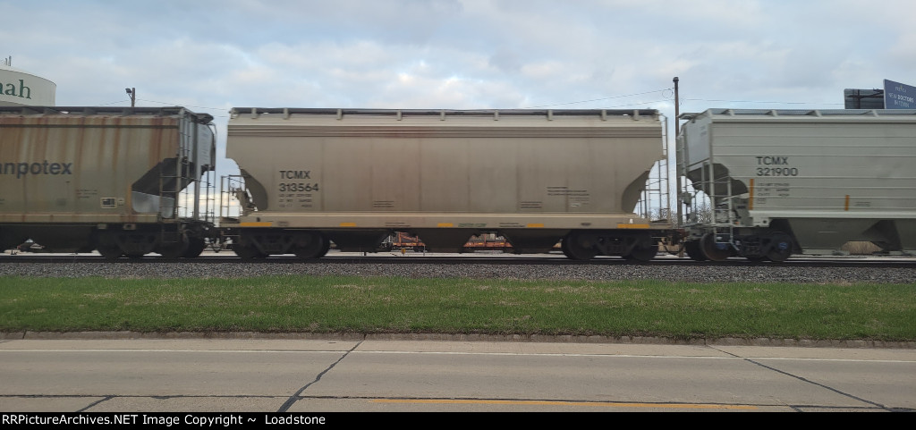 TCMX 313564