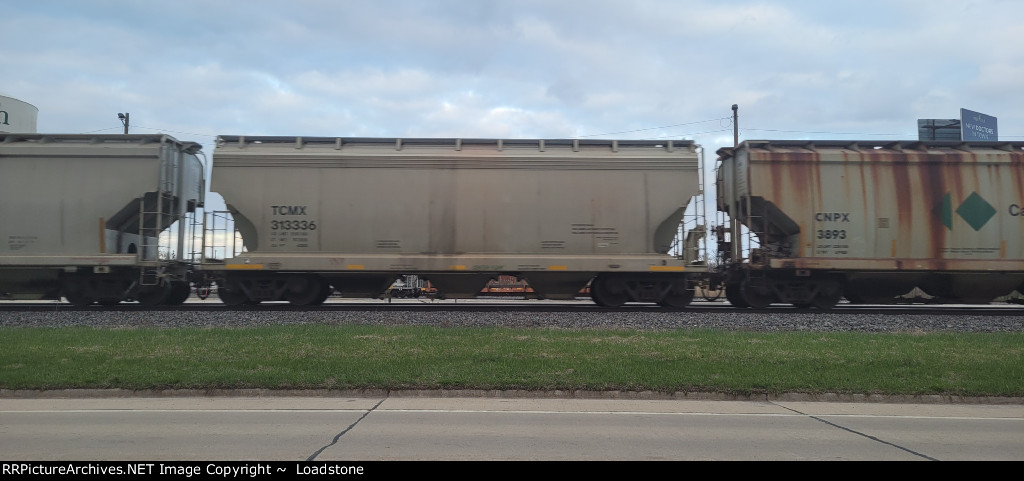 TCMX 313336