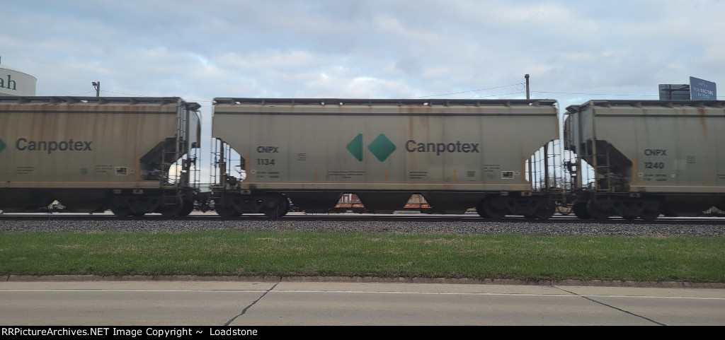 CNPX 1134