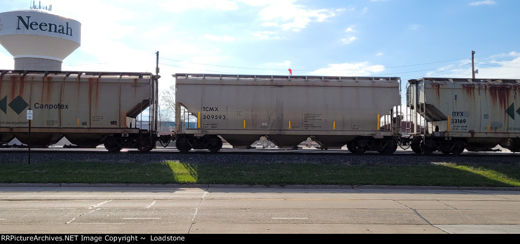 TCMX 309593