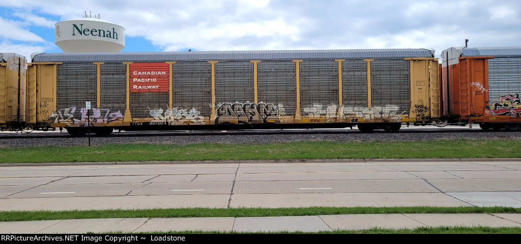TTGX 987024