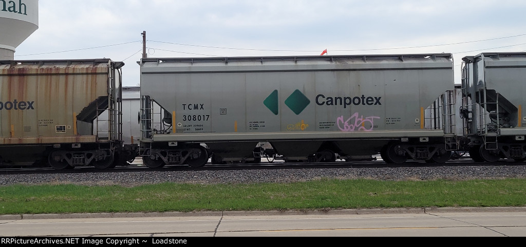 TCMX 308017
