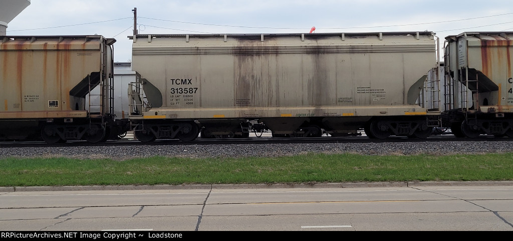 TCMX 313587