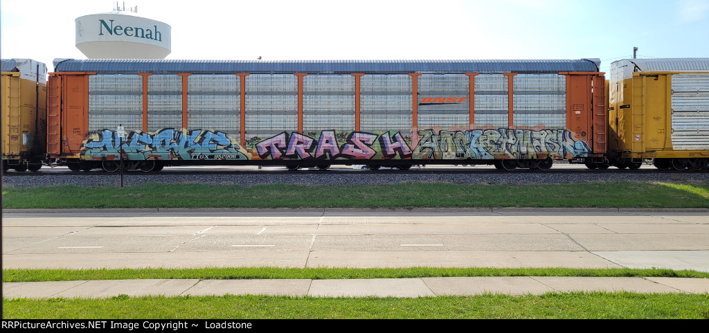 TTGX 952908