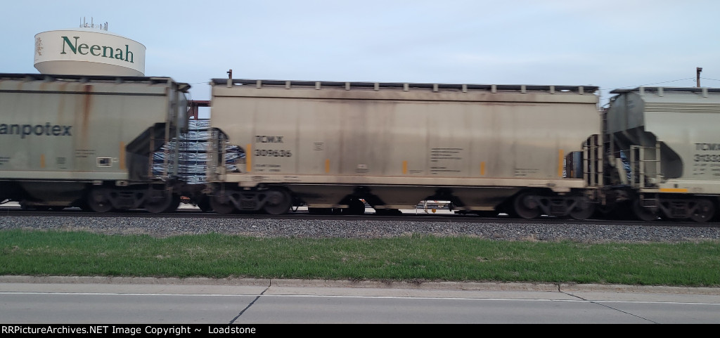TCMX 309636