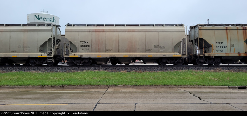 TCMX 313310