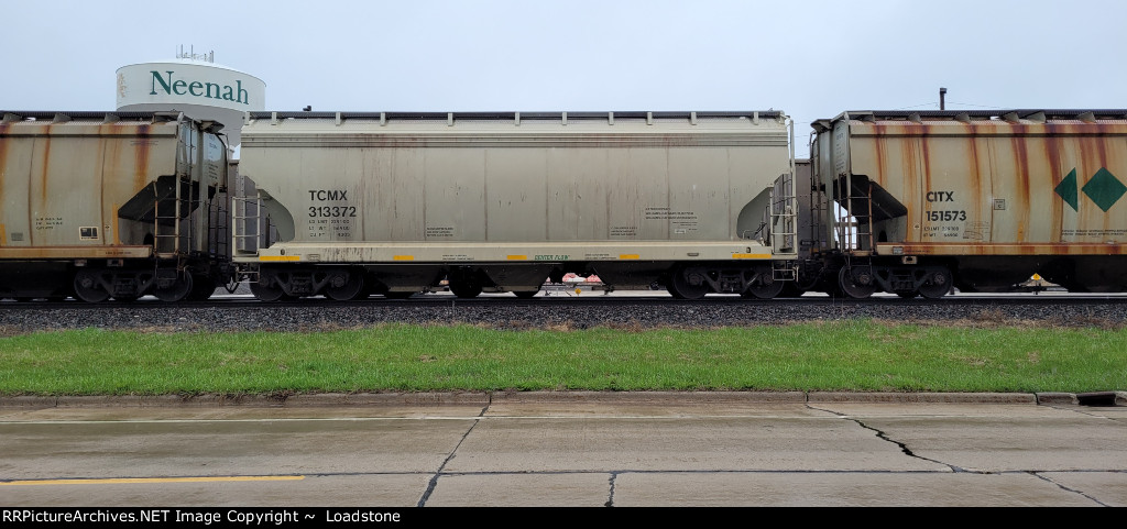 TCMX 313372
