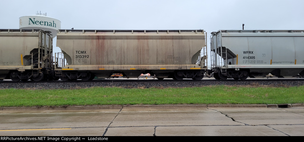 TCMX 313392