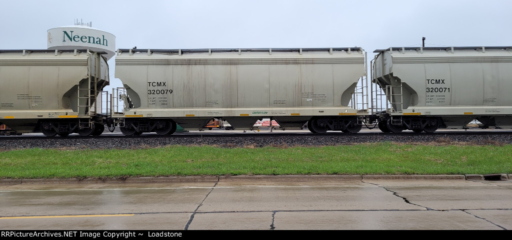 TCMX 320079