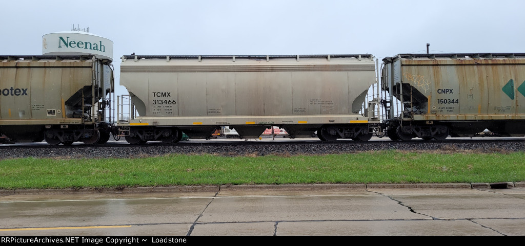 TCMX 313466