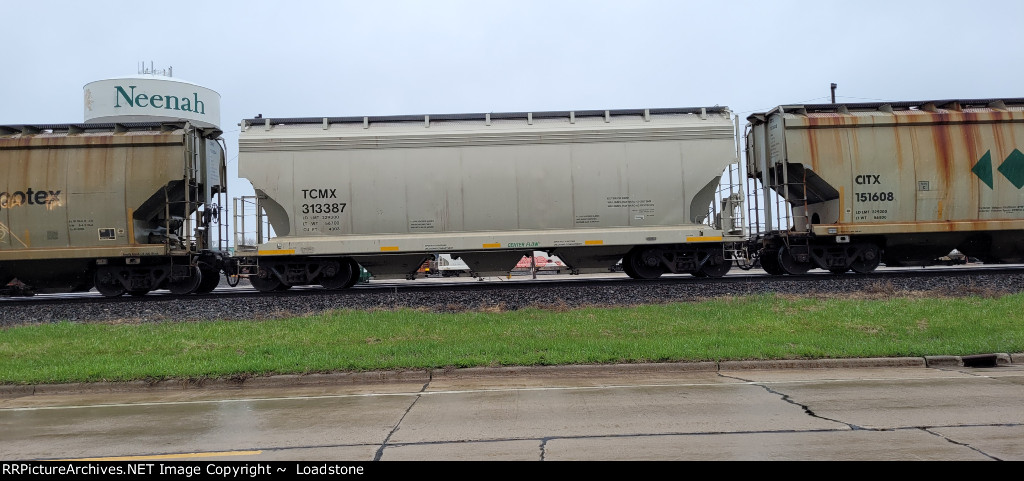 TCMX 313387