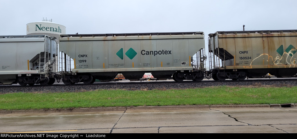 CNPX 1299