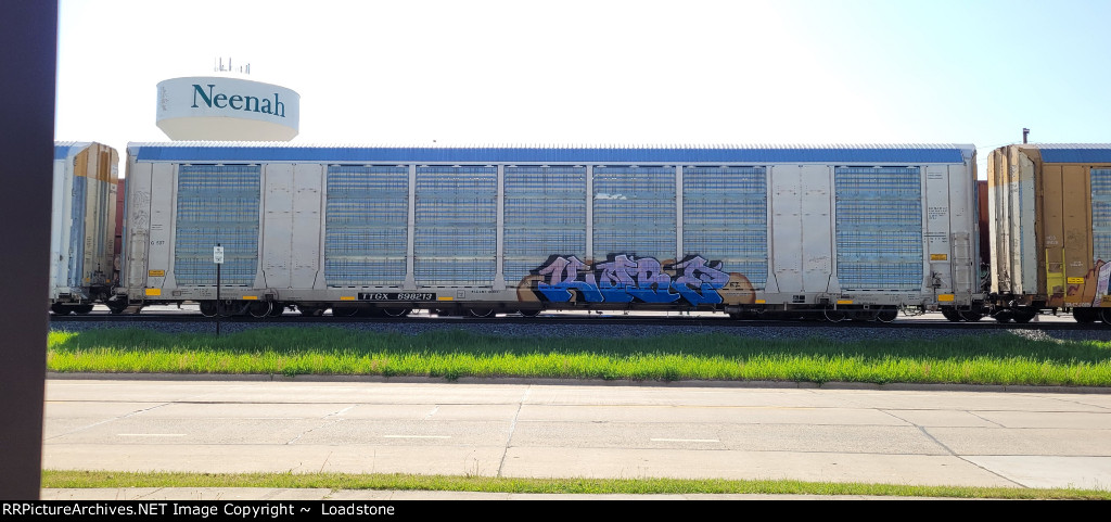 TTGX 698213