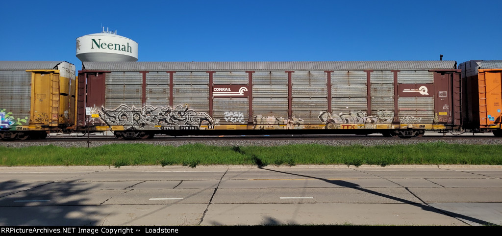 TTGX 979161