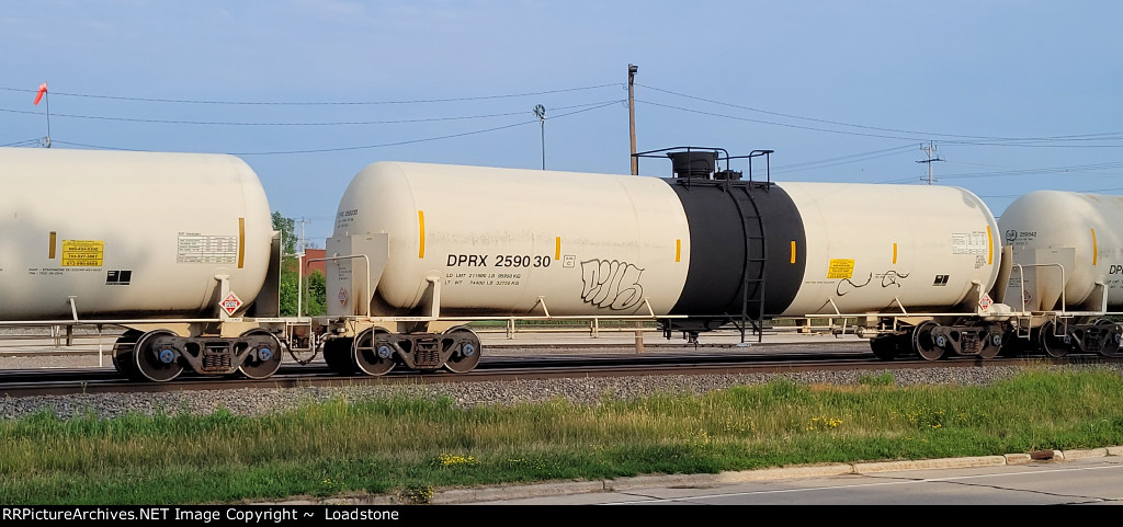 DPRX 259030