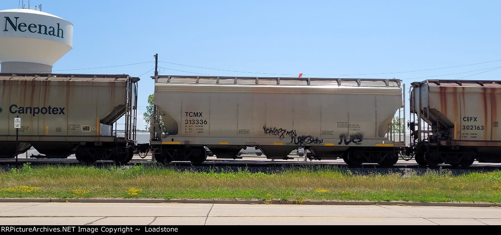 TCMX 313336