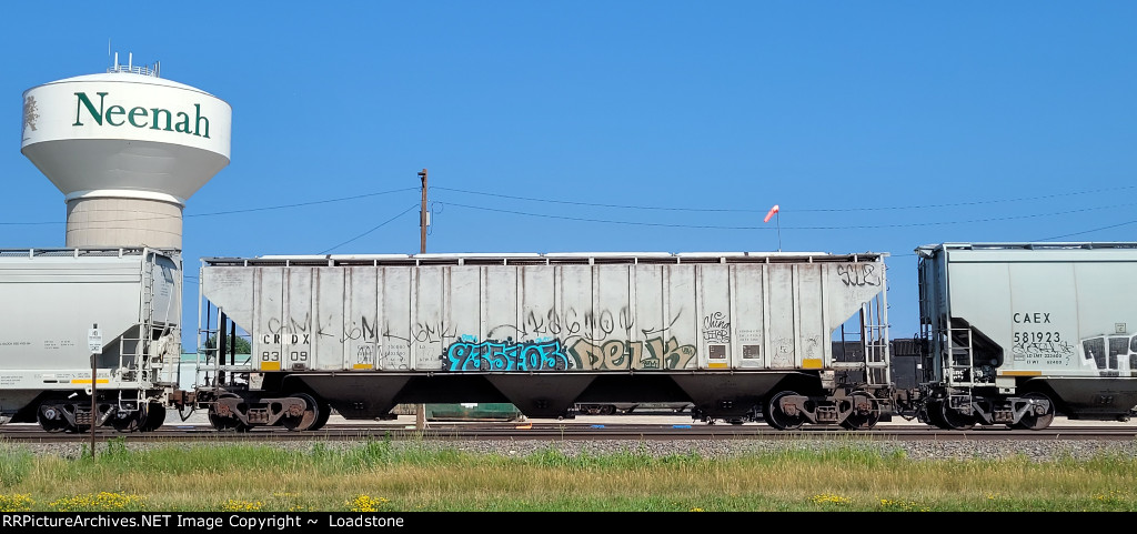 CRDX 8309