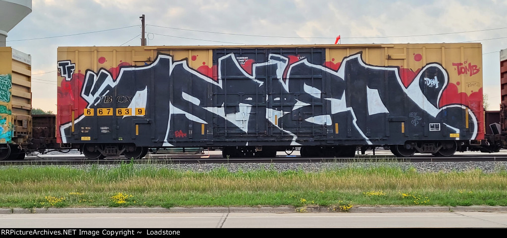 TBOX 667639