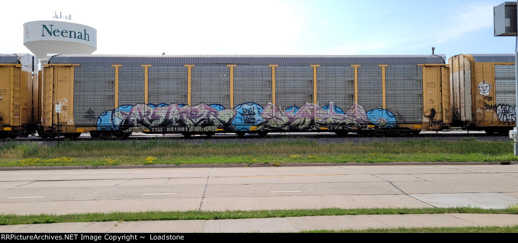 TTGX 851081