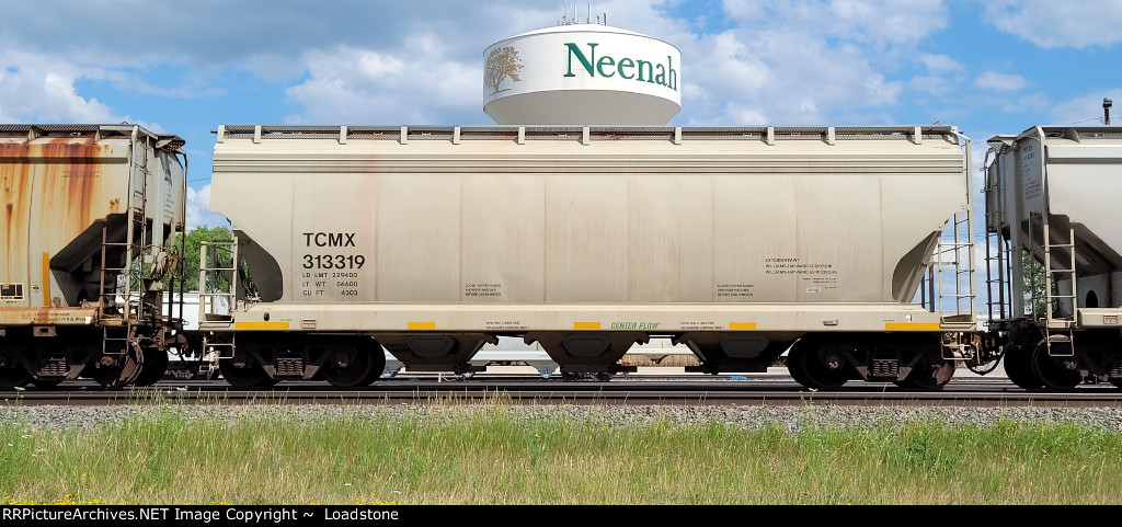 TCMX 313319