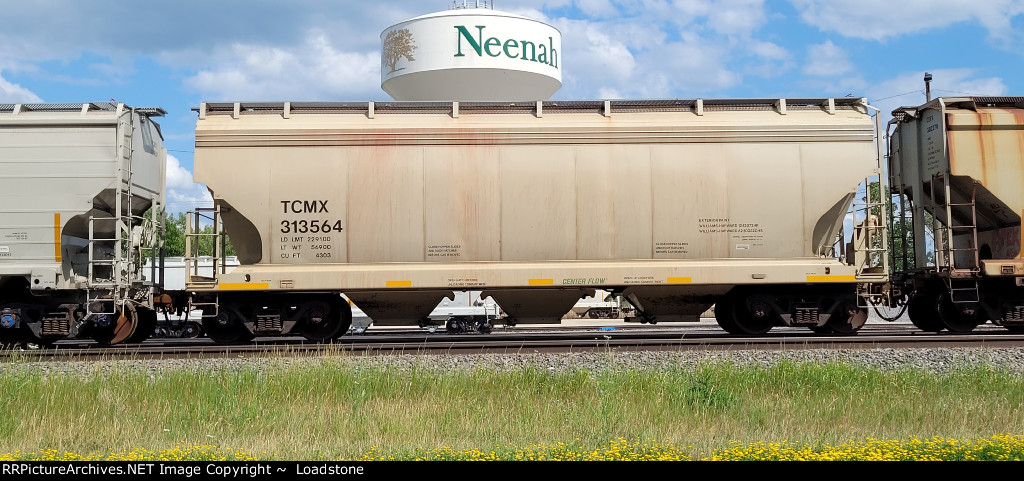 TCMX 313564