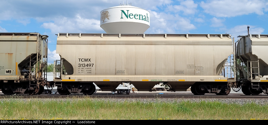 TCMX 313497