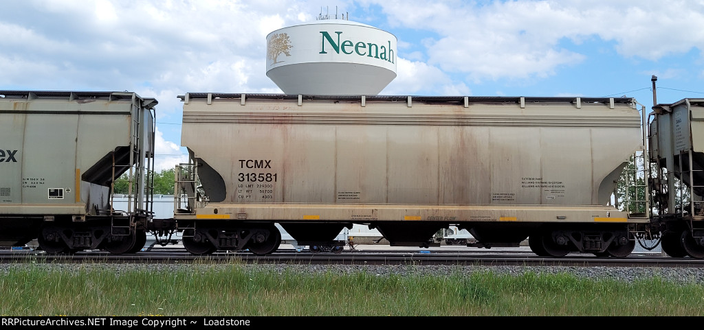 TCMX 313581
