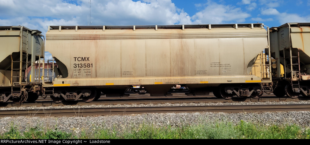 TCMX 313581