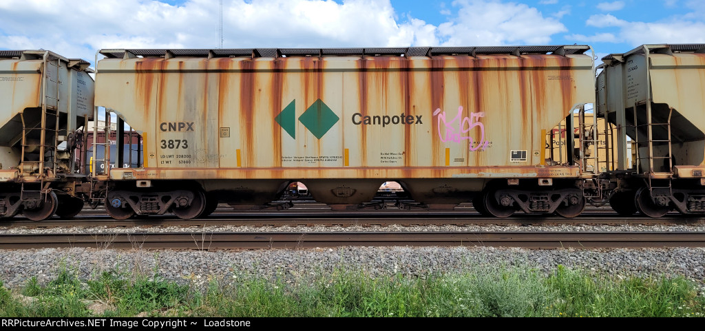 CNPX 3873