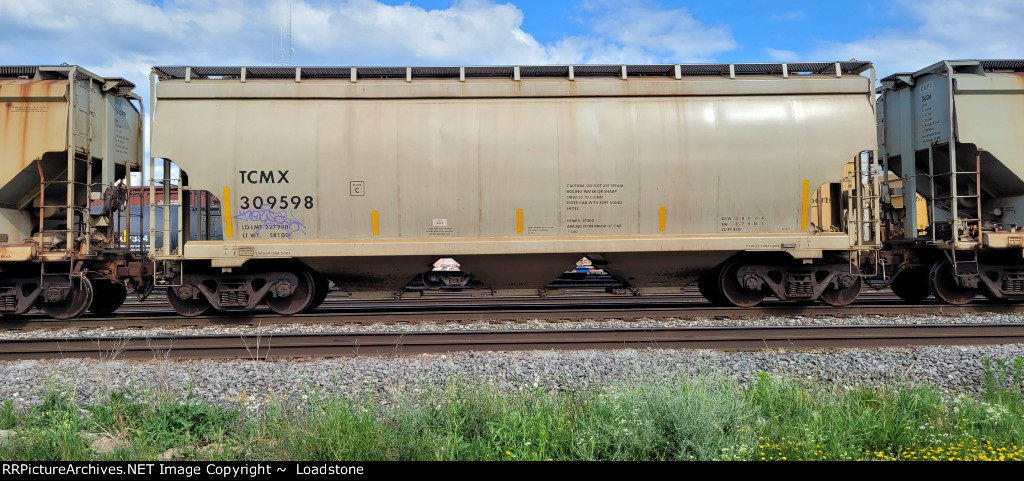 TCMX 309598