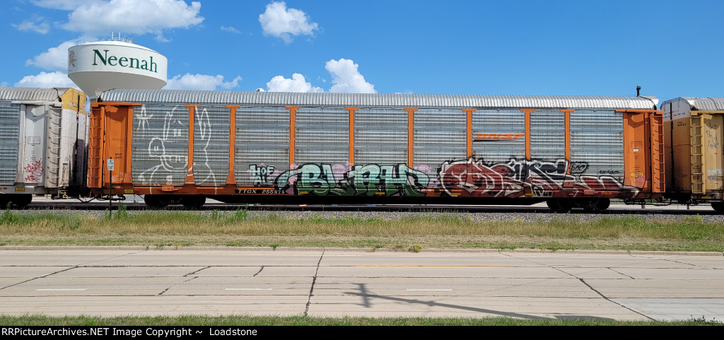 TTGX 255875