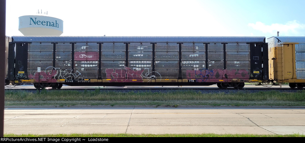 TTGX 973272