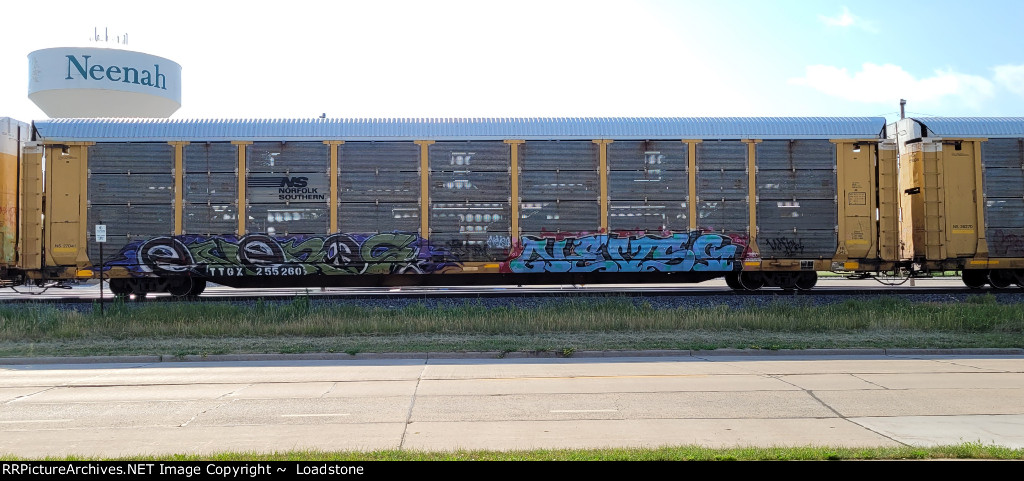TTGX 255260